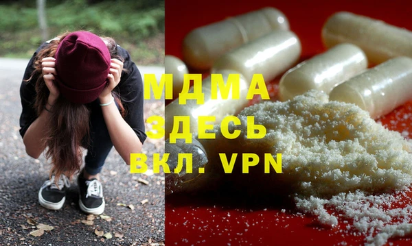 прущие грибы Бородино