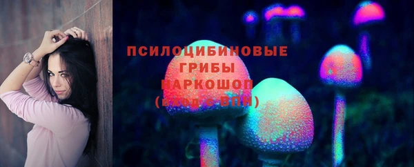 прущие грибы Саяногорск