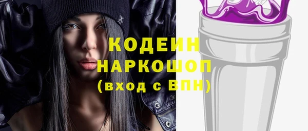 прущие грибы Саяногорск
