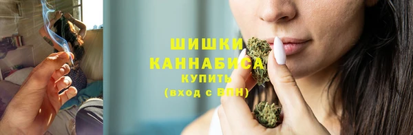 прущие грибы Бородино