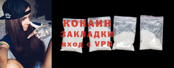 прущие грибы Бородино