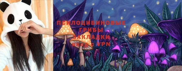 прущие грибы Бородино