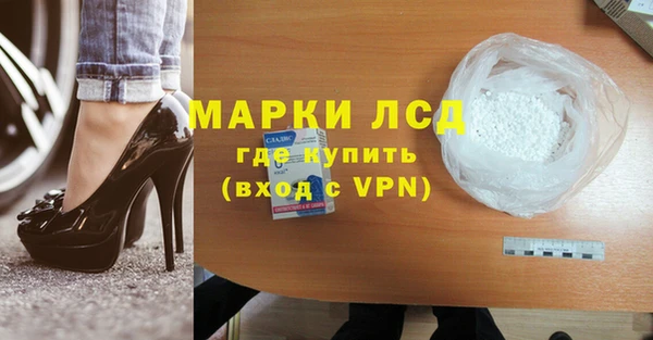 прущие грибы Бородино