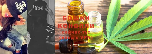 прущие грибы Бородино